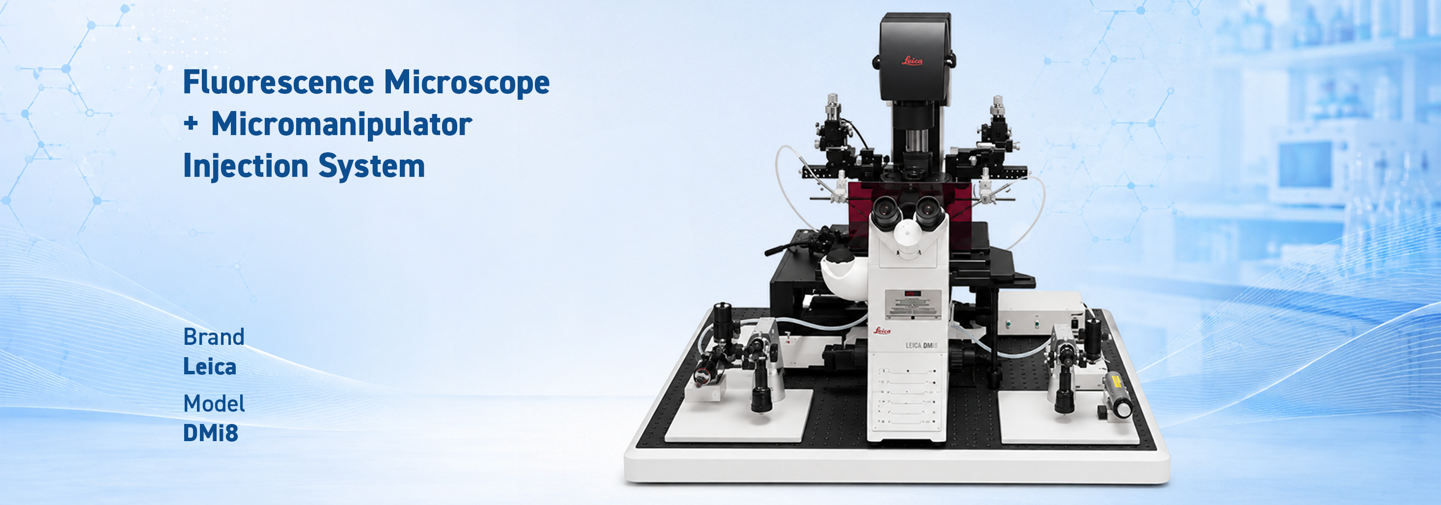 Fluorescence Microscope + Micromanipulator Injection System